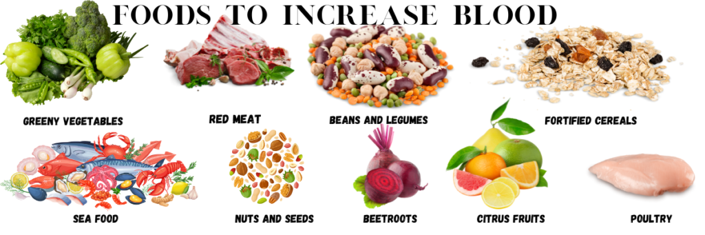 foods to increase blood